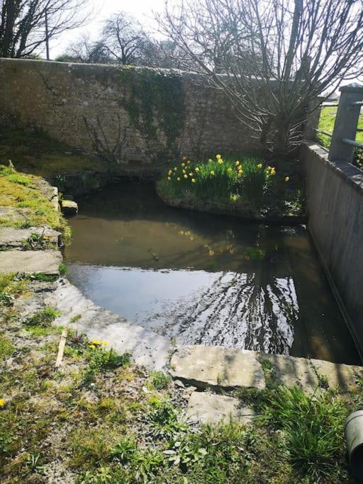 Gite Spacieux Et Chaleureux Sainte-Mère-Église Extérieur photo